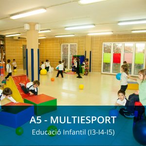 A4 – MULTIESPORT ( Ed. Infantil I3- I4- I5) – Dimecres