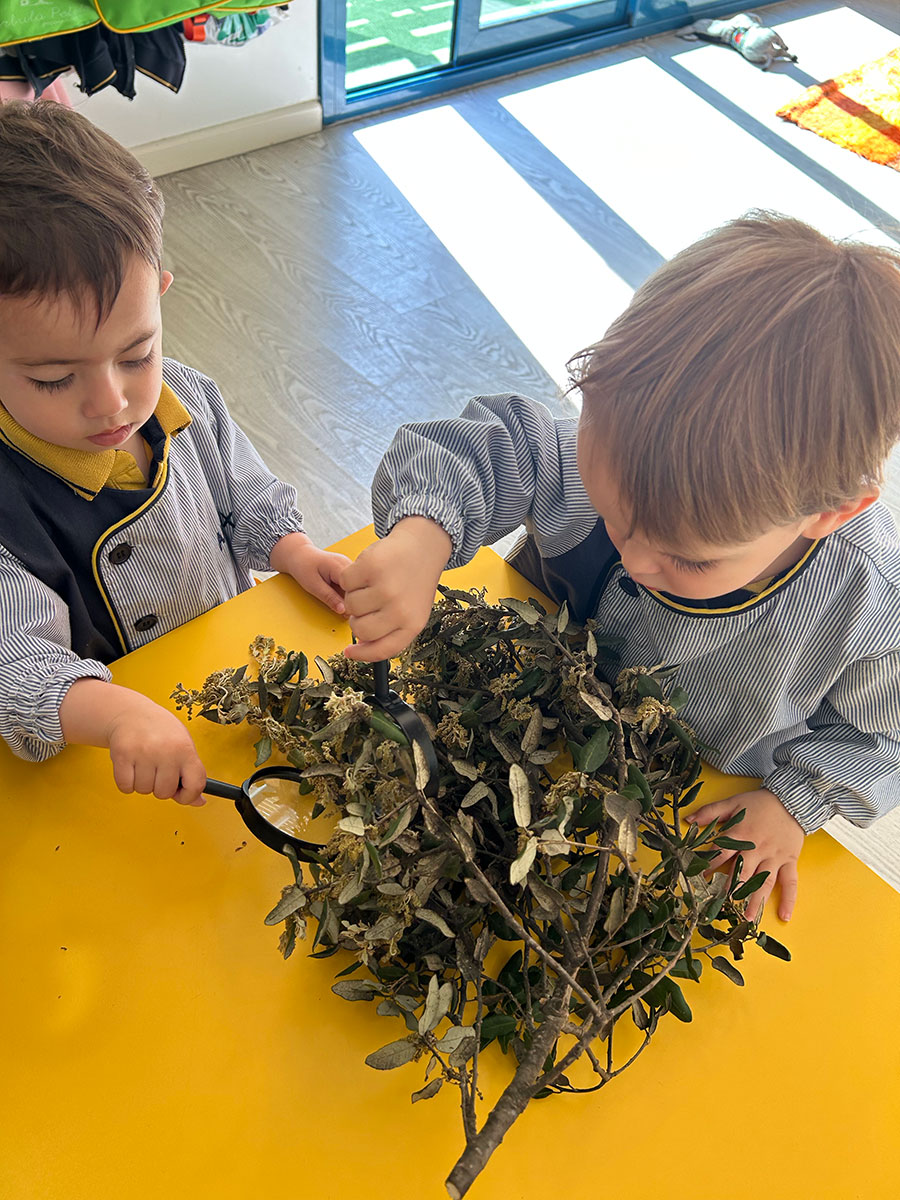 llar-infants-2